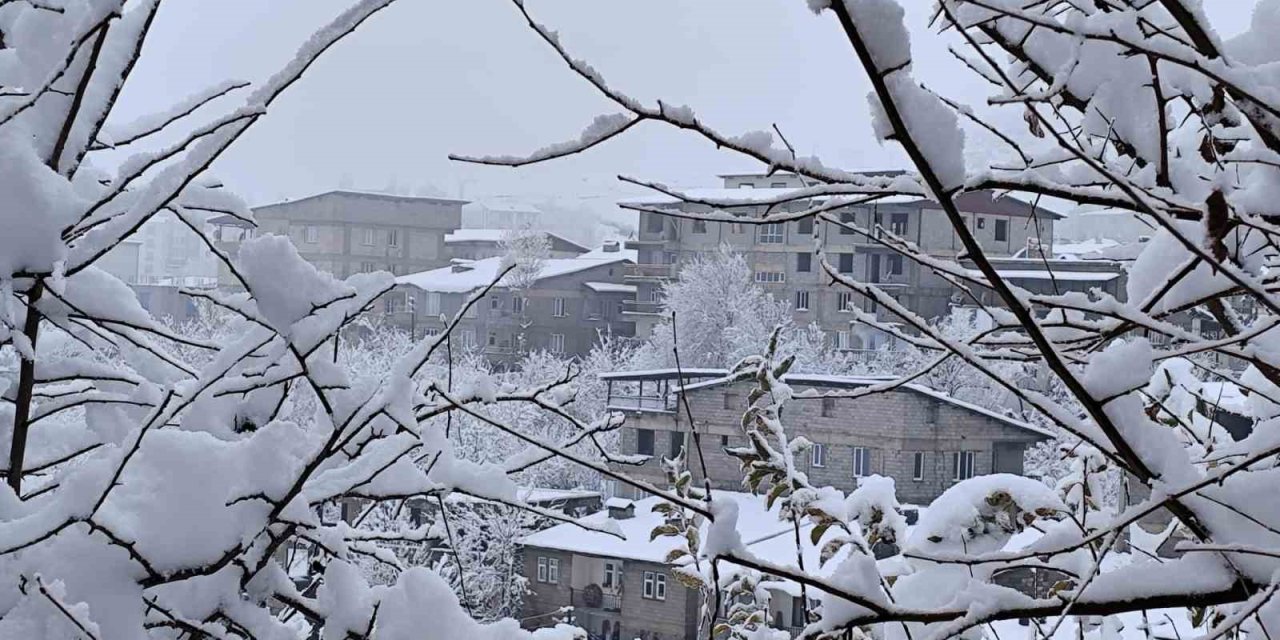 Hakkari’de 7 köy ve 18 mezra yolu için seferberlik