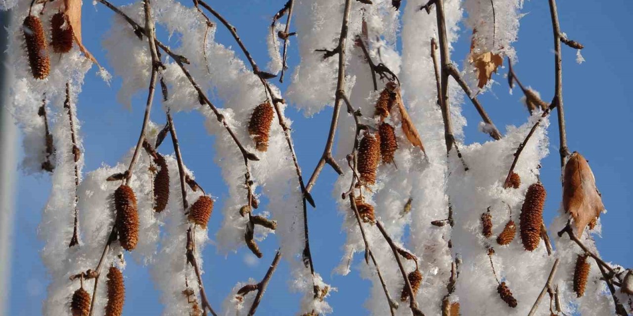 Ardahan’da Sibirya soğukları devam ediyor