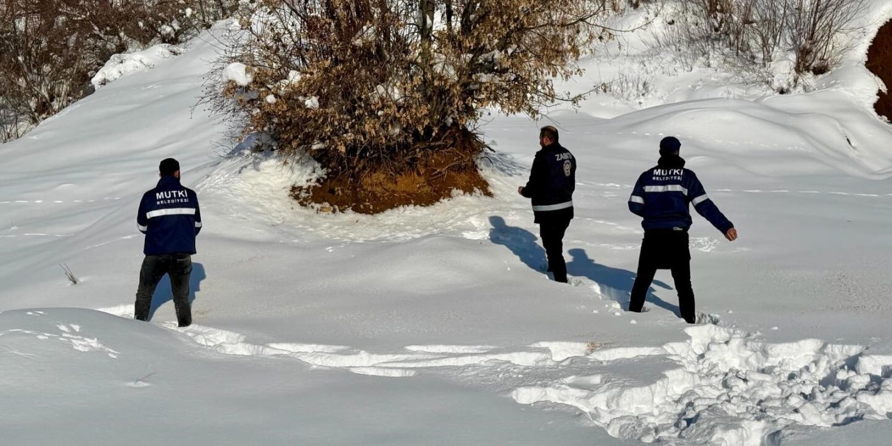 Mutki Belediyesi zorlu kış şartlarında yaban hayatını unutmadı
