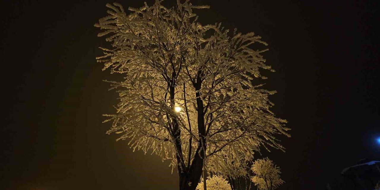 Elazığ’da ağaçlar kırağı tuttu