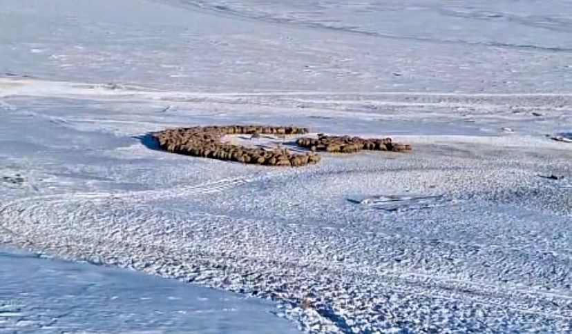 Karda ay yıldızlı vatan sevgisi