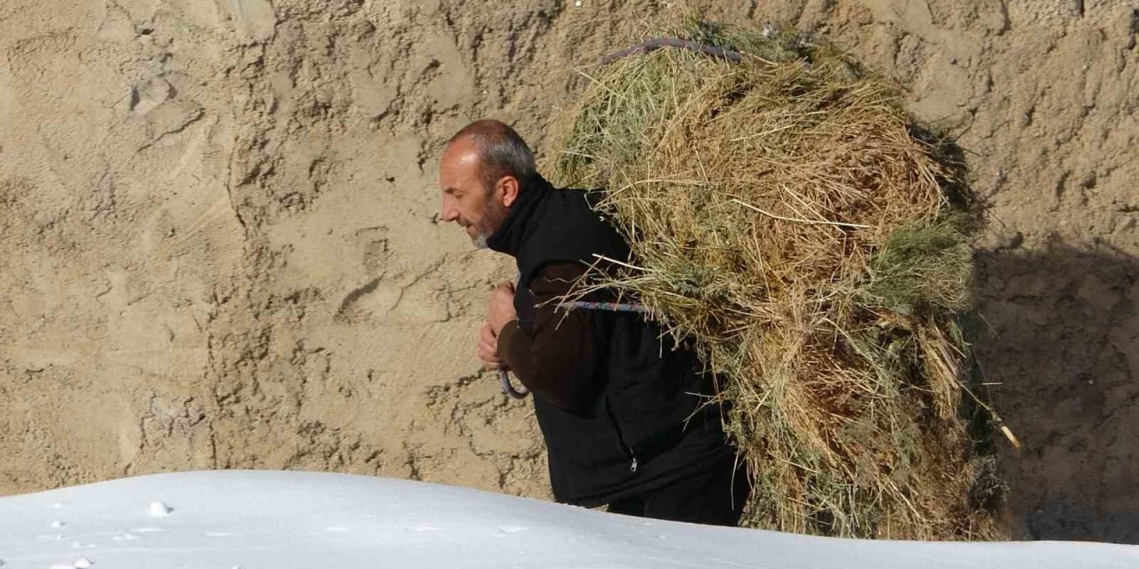 Van’da besicilerin zorlu kış mesaisi