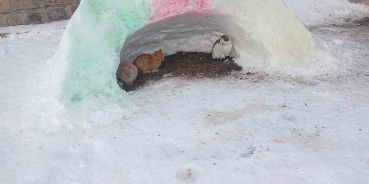 Diyadin’de hayvanlara kardan barınak