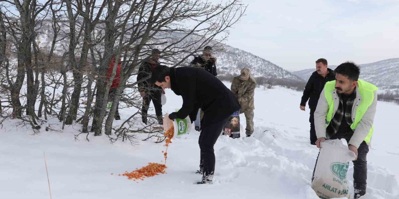 Genç’te yaban hayvanları için doğaya yem bırakıldı