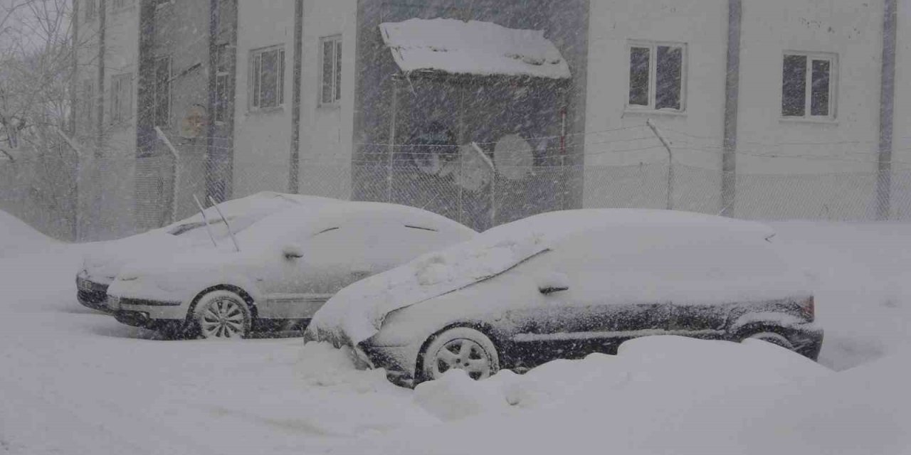 Bitlis’te 51 köy yolu ulaşıma kapandı