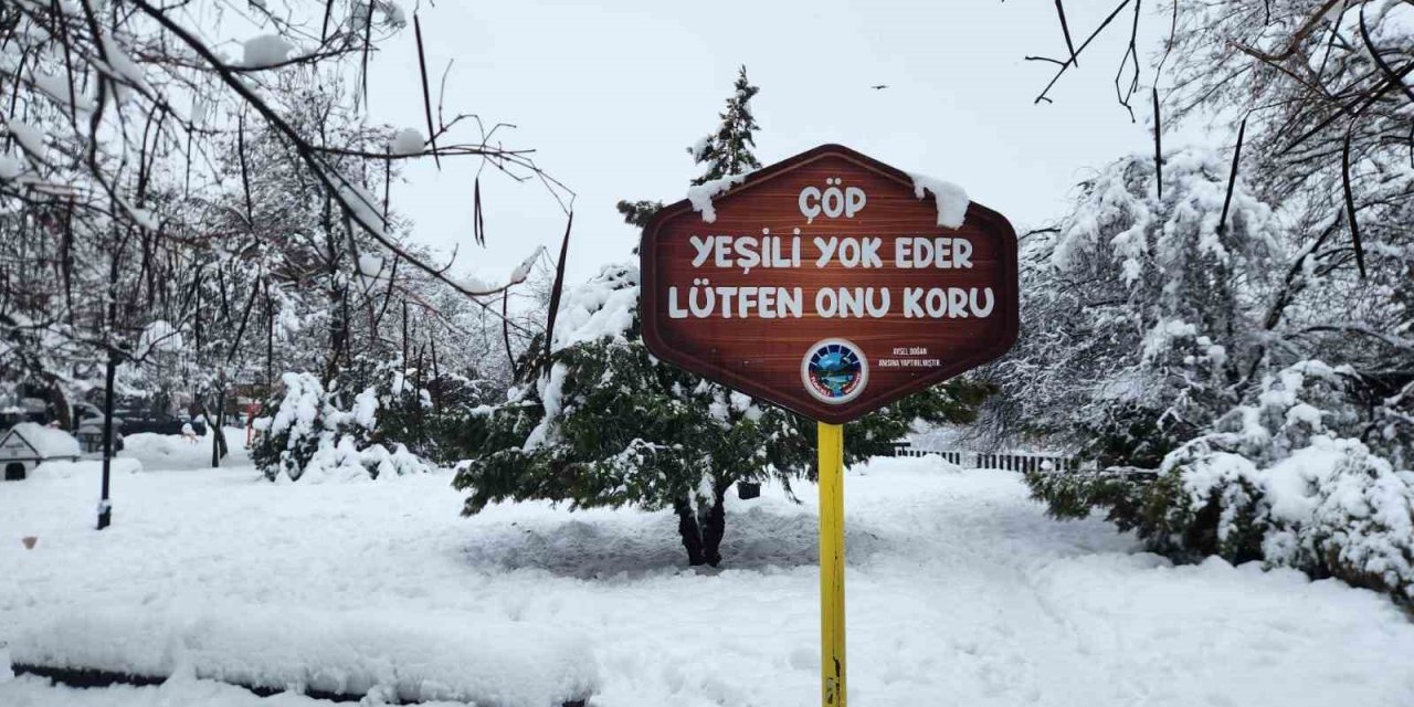 Tunceli’de yoğun kar yağışı etkili oldu