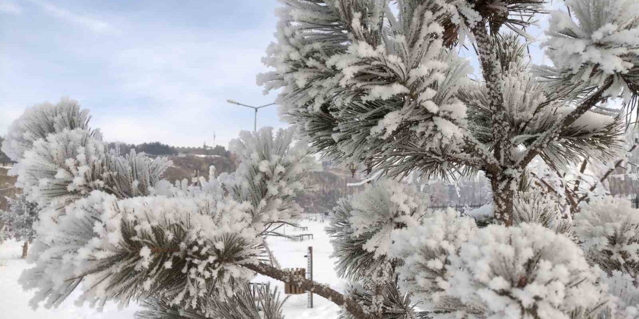 Ardahan’da dondurucu soğuklar etkili oldu