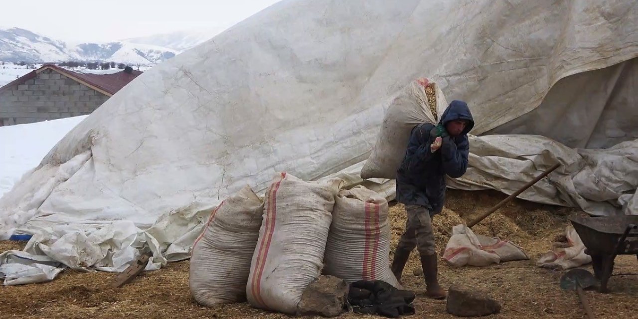 Tatvan’da yayladan besiye dönüş