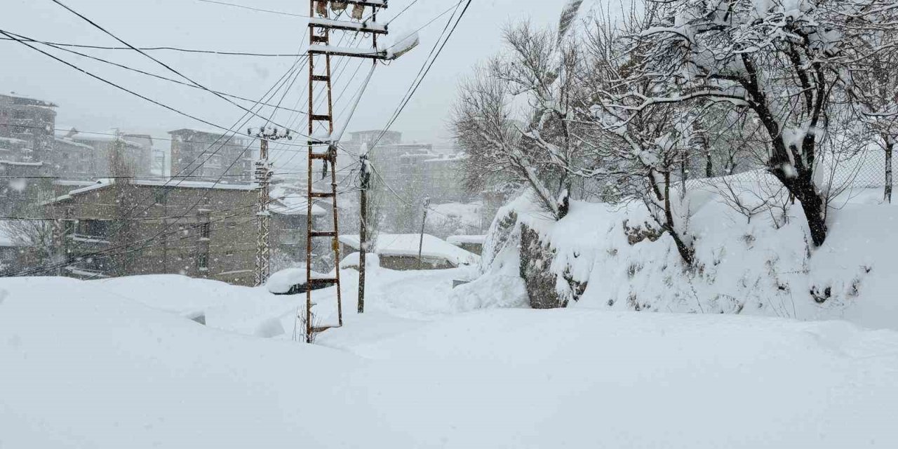 Hakkari’de 43 yerleşim yerinin yolu ulaşıma kapandı