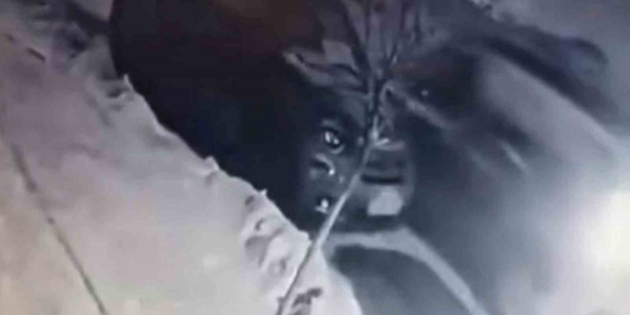 Buzda kayan araç park halindeki otomobile çarptı