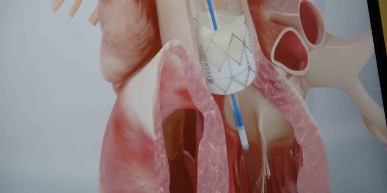 Prof. Dr. Pekdemir: "Gençlerde ani ölümlerin yüzde 90’ı genetik nedenlerden kaynaklanıyor"