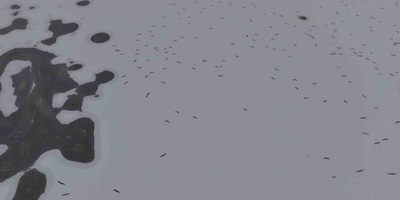 Cip Baraj Gölü buz tuttu