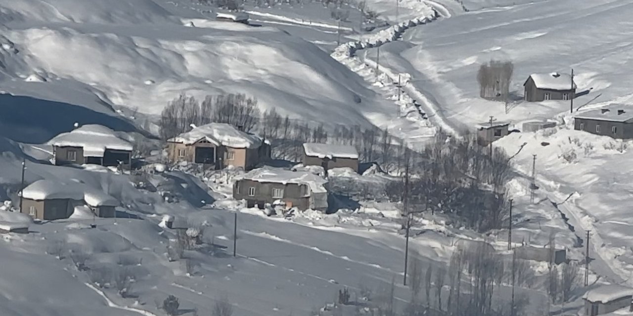 Yüksekova’da çiftçilere "kurt saldırısı" uyarısı