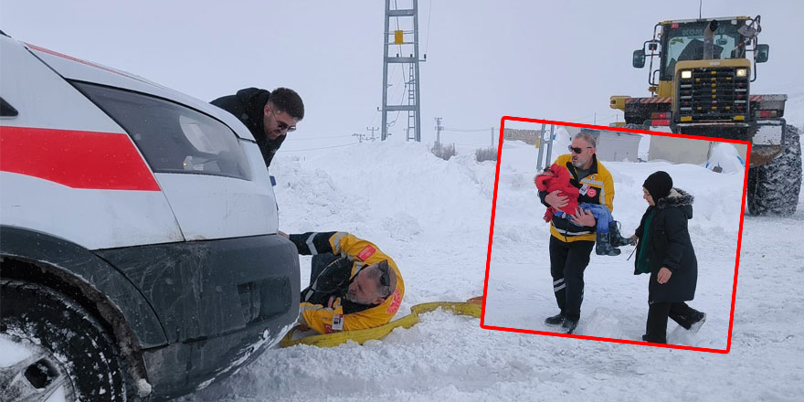 Minik Adar için ekipler seferber oldu