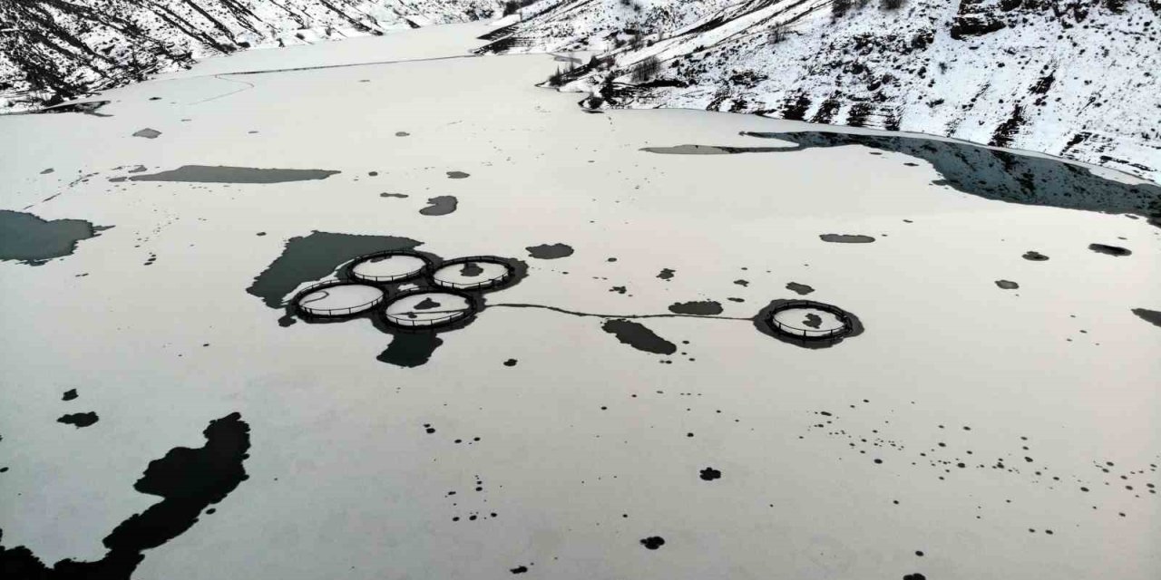 Erzincan’da baraj buzla kaplandı