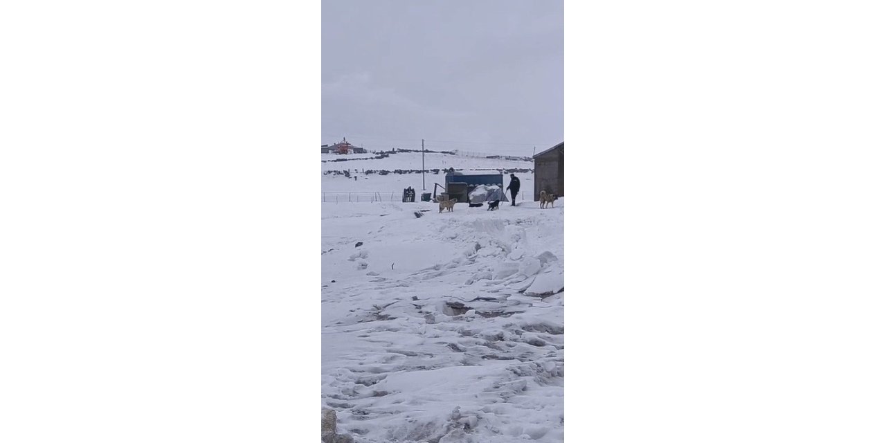 Kars’ın soğuğunda enerji mesaisi: Aras Edaş ekiplerinin soğukla imtihanı