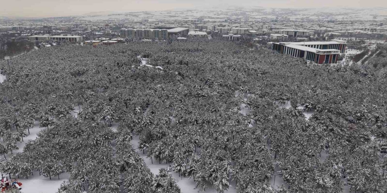 Elazığ’da beton yığınlarının arasındaki beyaz vaha mest etti