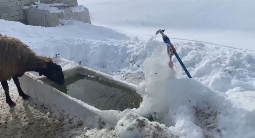Ağrı’da soğuk hava etkisini göstermeye devam ediyor
