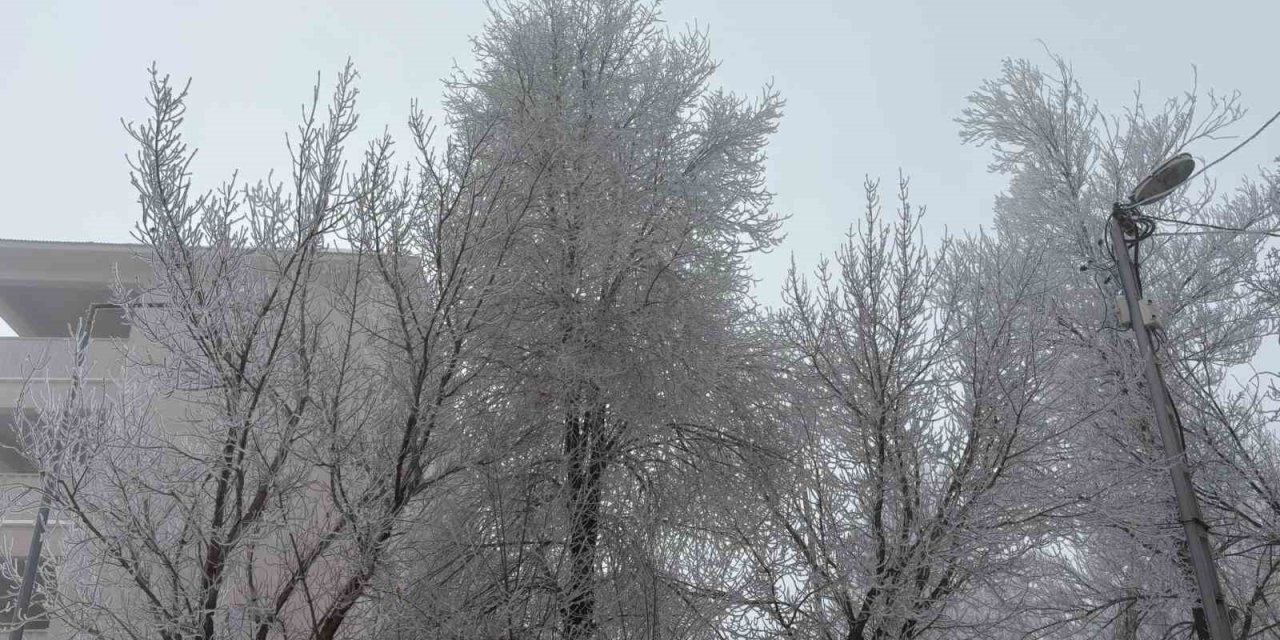 Diyadin’de yoğun sis etkili oldu