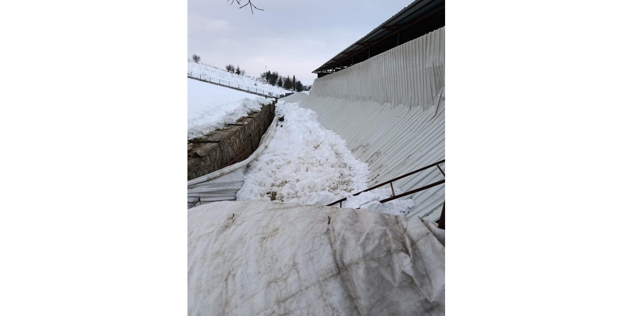 Elazığ’da ahırın tavanı çöktü