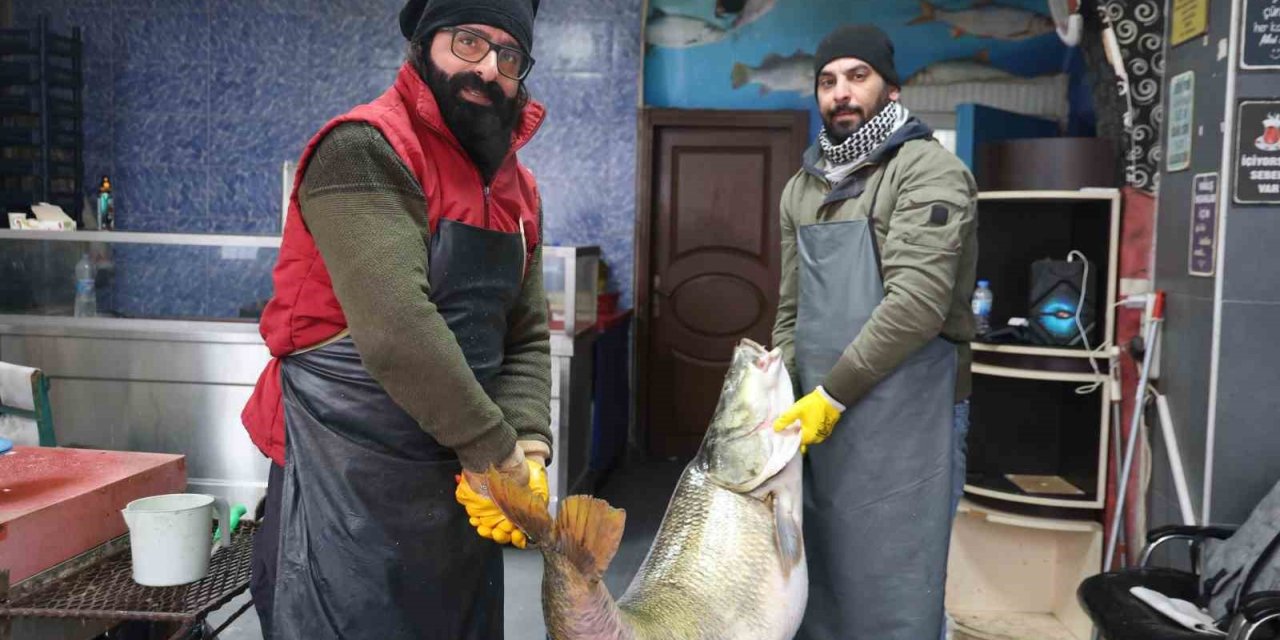 Elazığ’da yakalanan 78 kilogram ağırlığındaki turna balığını iki kişi zor taşıdı