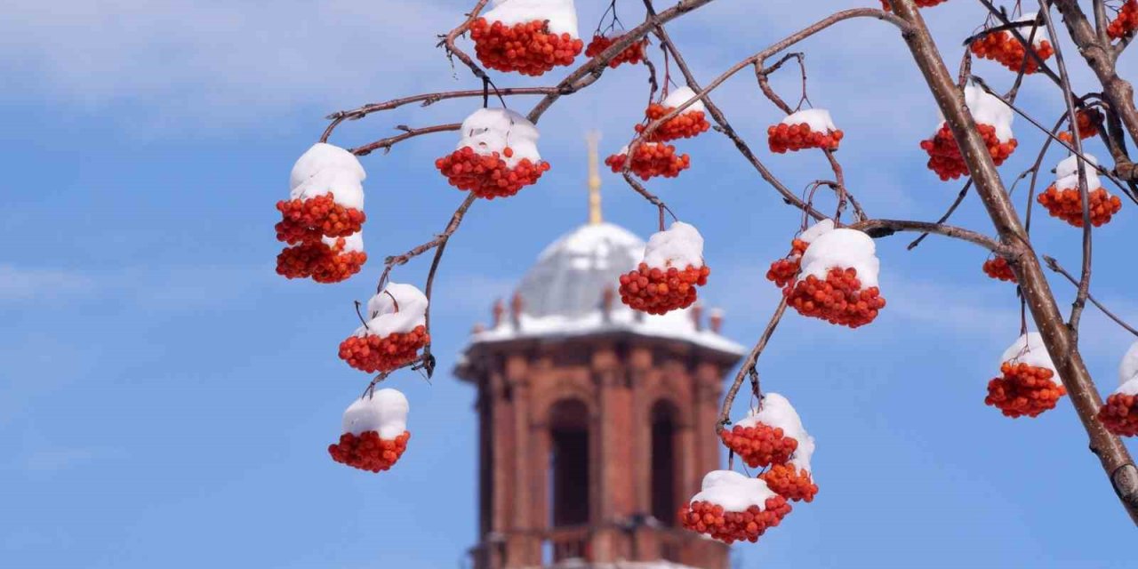 Buzlanma, don ve çığa dikkat