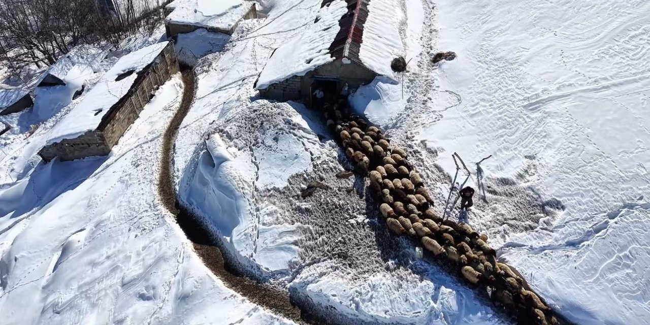 Hakkari’de 1 buçuk metreyi aşan karda çiftçilerin zorlu mesaisi sürüyor