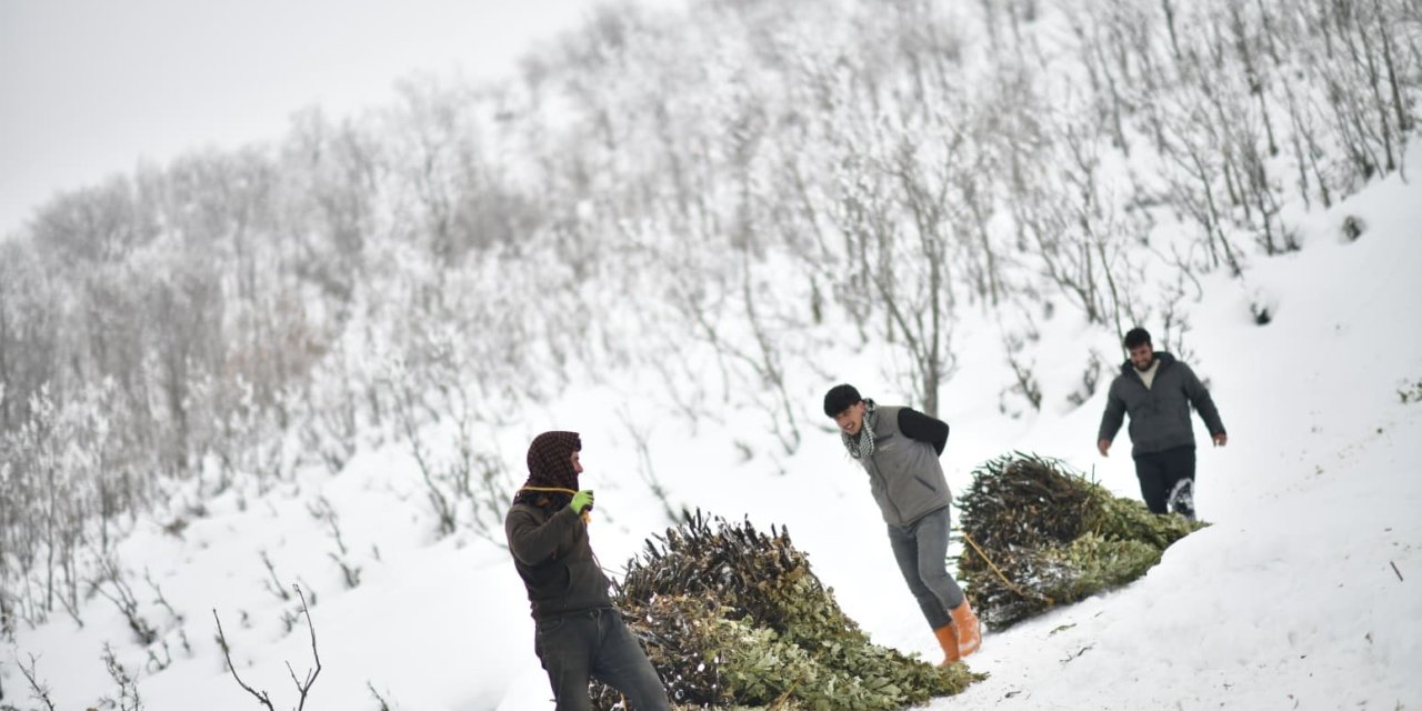 Muş’ta besicilerin kızaklı zorlu kış mesaisi
