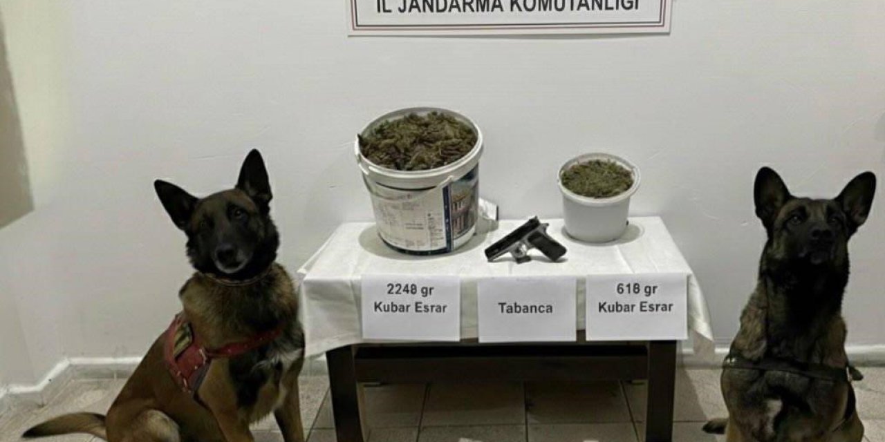 Bingöl’de uyuşturucu operasyonu: 3 gözaltı