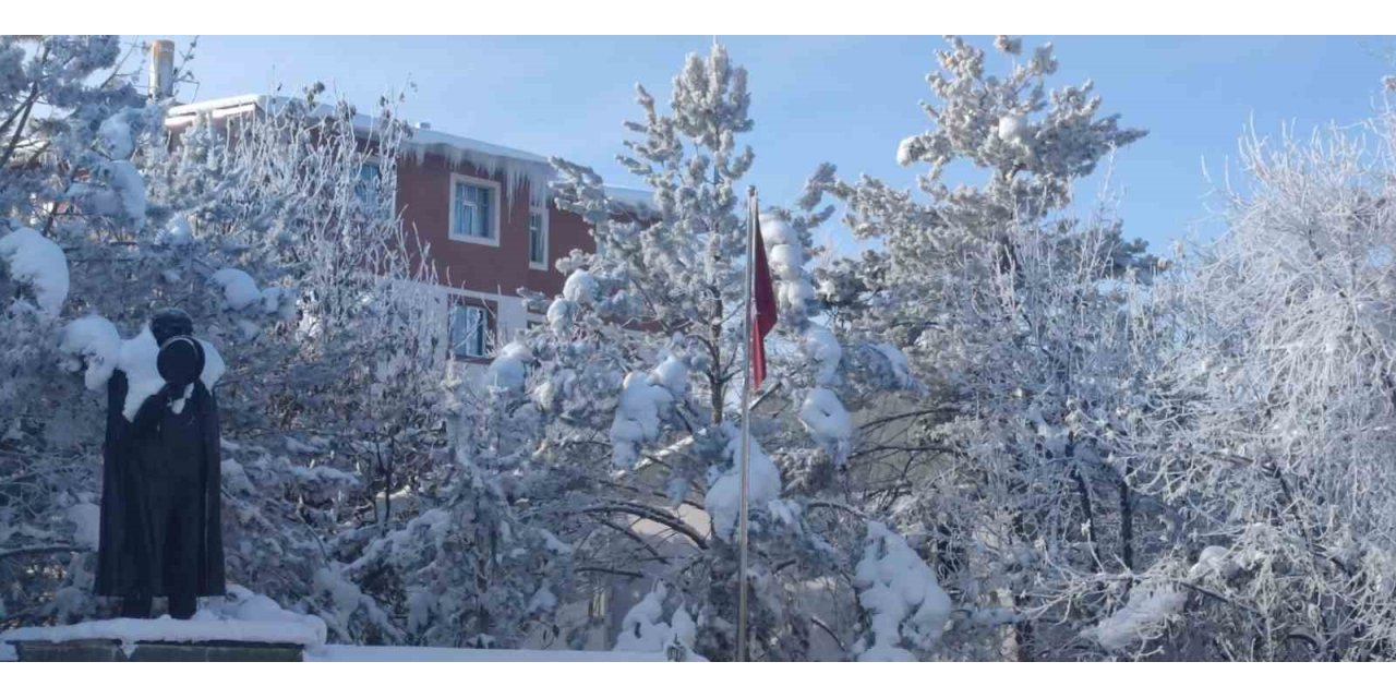 Aşkale’de dondurucu soğuklar hayatı felç etti