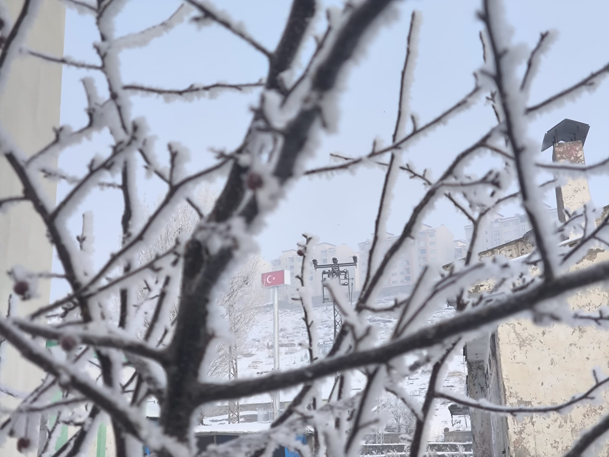 Kars'ta soğuk hava ağaçlar ve bitkilerde kırağı oluşturdu
