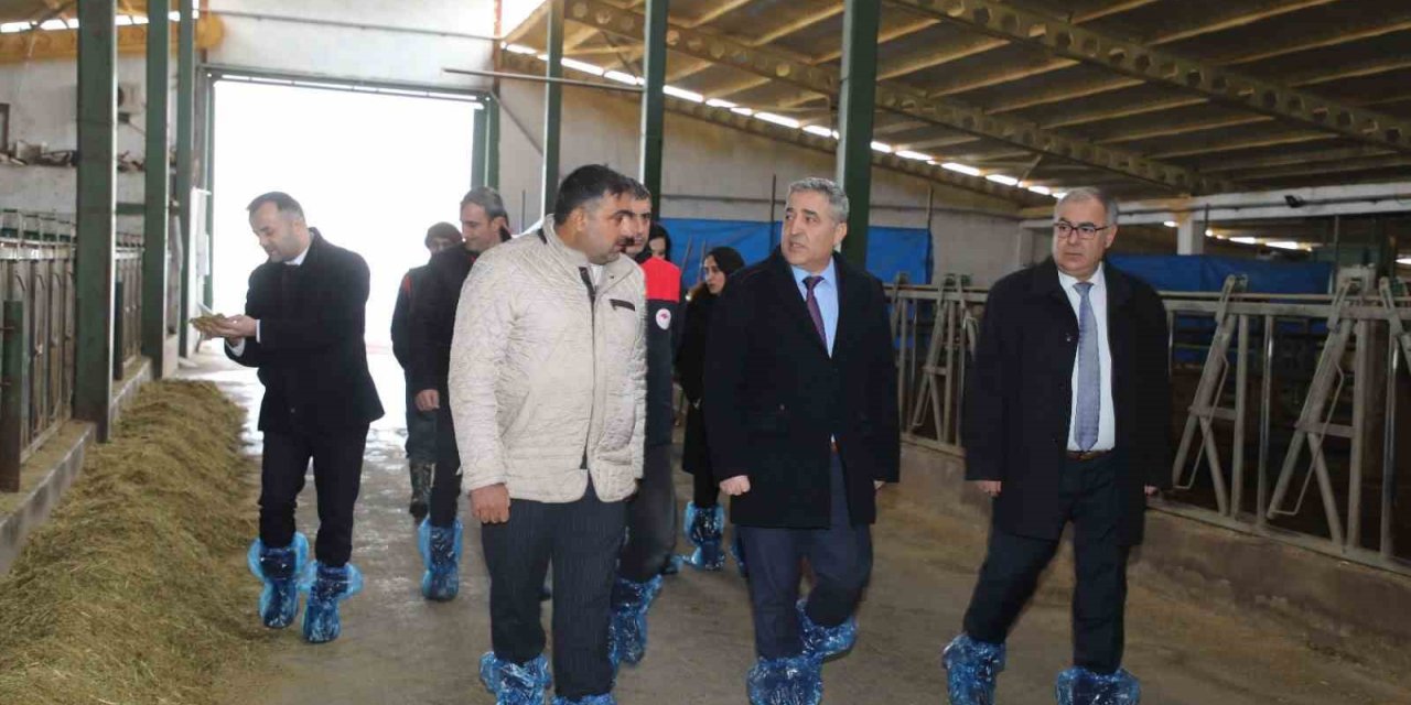 Elazığ’da hayvancılık altyapısı yerinde incelendi