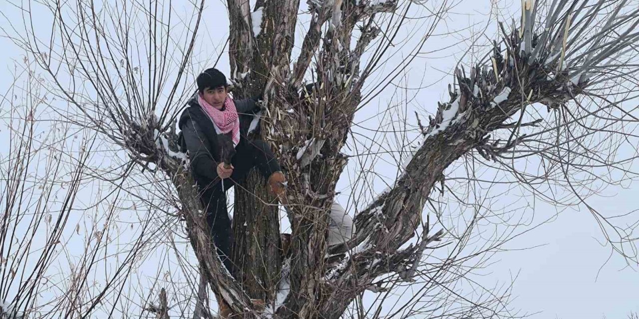 Muş’ta besicilerden alternatif yem yöntemi