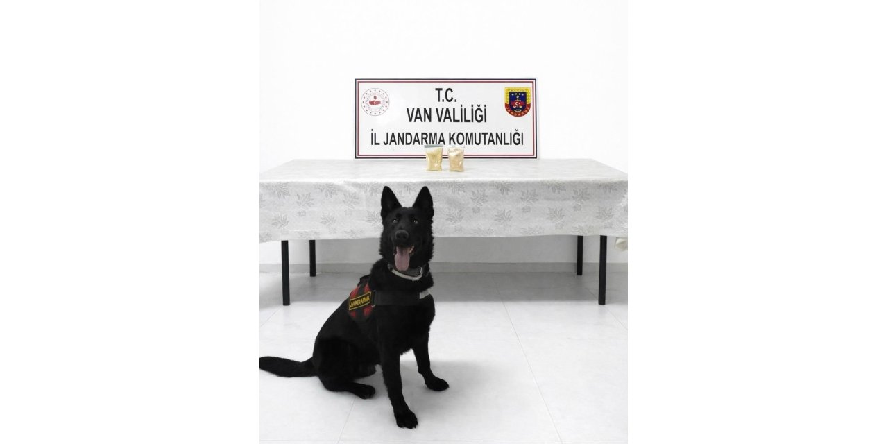 İranlı şahıs üzerinde 510 gram eroin ele geçirildi.