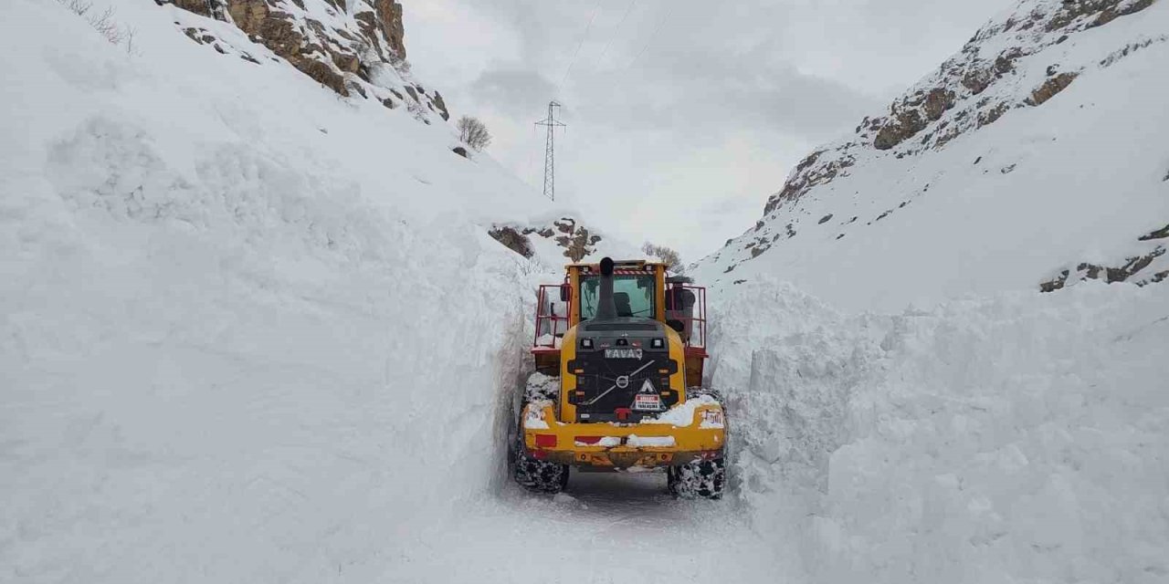 Hakkari-Çukurca yolunda çığ paniği: O anlar kamerada