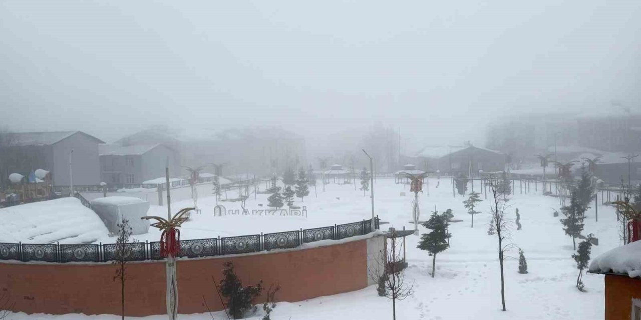 Hakkari’de karla karışık yağmur ve sis etkili oldu