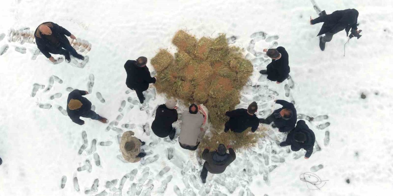 Muş’ta yaban hayatı için doğaya yem bırakıldı