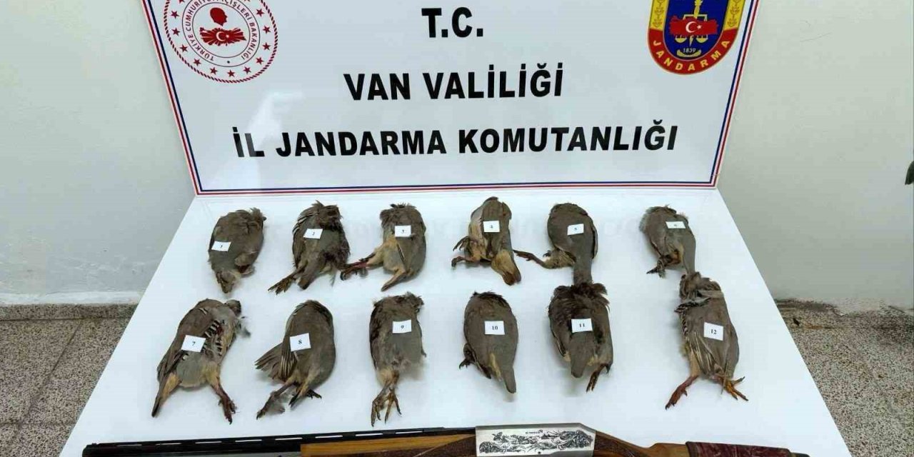Van’da keklik avlayan kişiye 81 bin TL ceza
