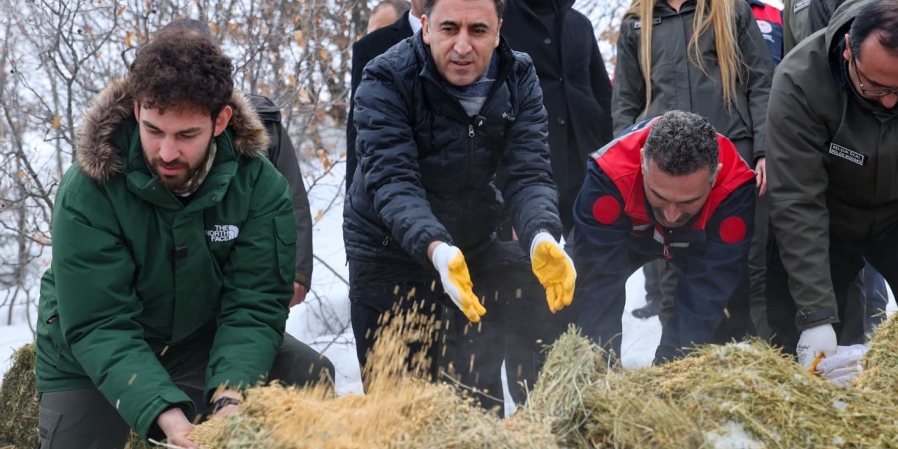 Vali Aygöl, yaban hayvanları için sahada
