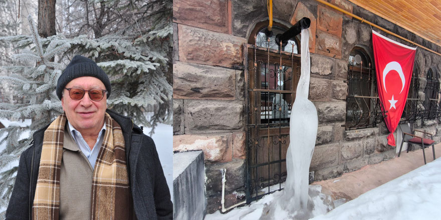 Kars'ta kar yağışı yerini soğuk havaya bıraktı: Ağaçlar ve bitkilerde kırağı oluştu