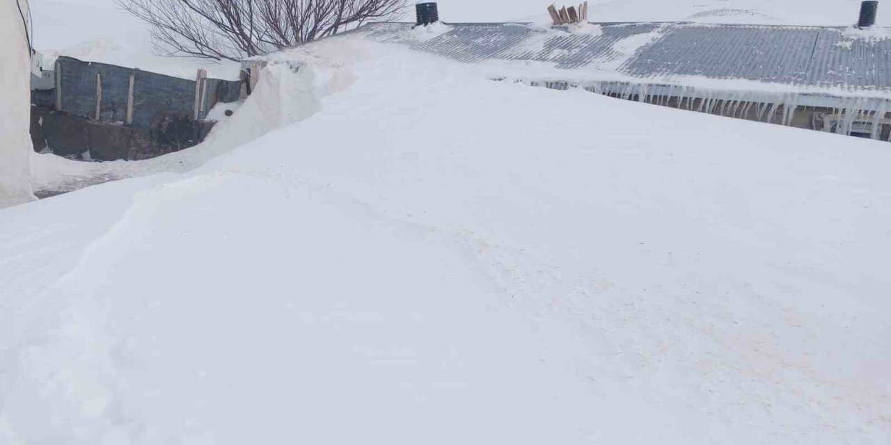 Taşlıçay’da kar yığınları evlerin boyuna ulaştı