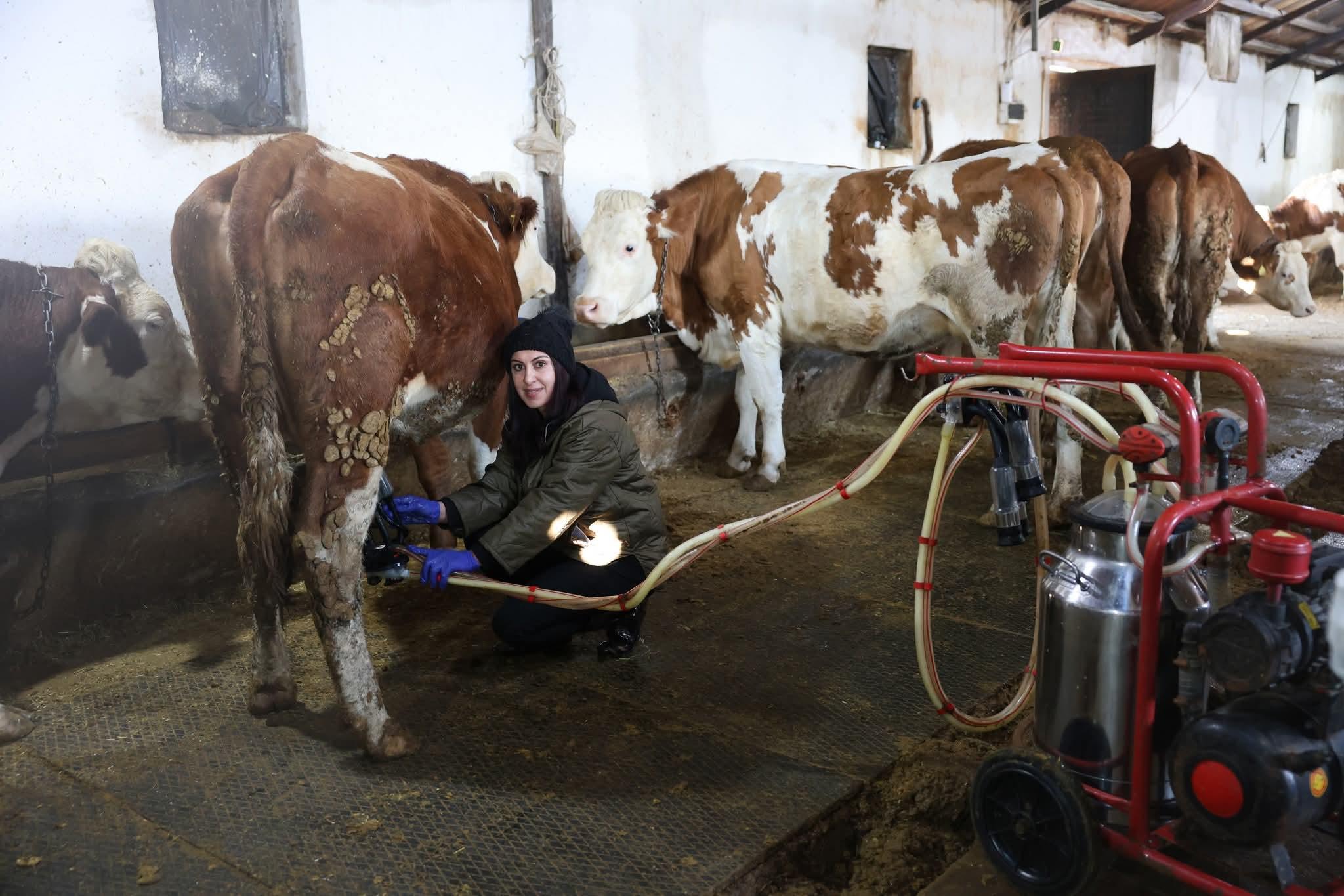 Kars'ta kadın üretici sayısı artıyor