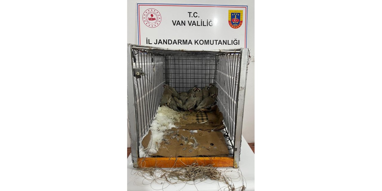 Van’da keklik avına 75 bin 303 TL idari para cezası