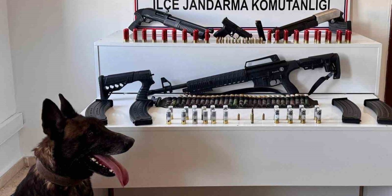 Erciş’te ruhsatsız silah ele geçirildi