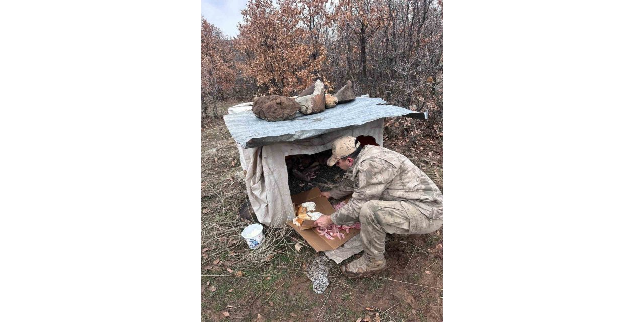 Köy yoluna bırakılan yavru köpeklere jandarmandan şefkat eli