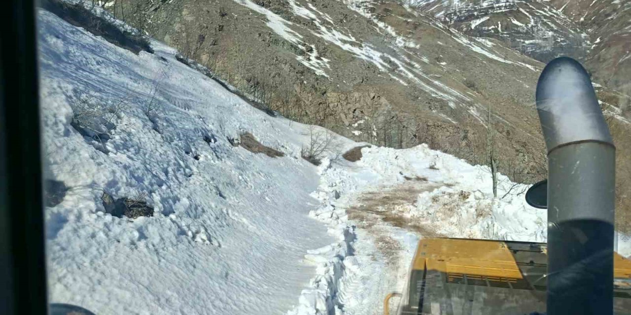 Bingöl’de kar ve heyelandan dolayı kapanan köy yolları açılıyor