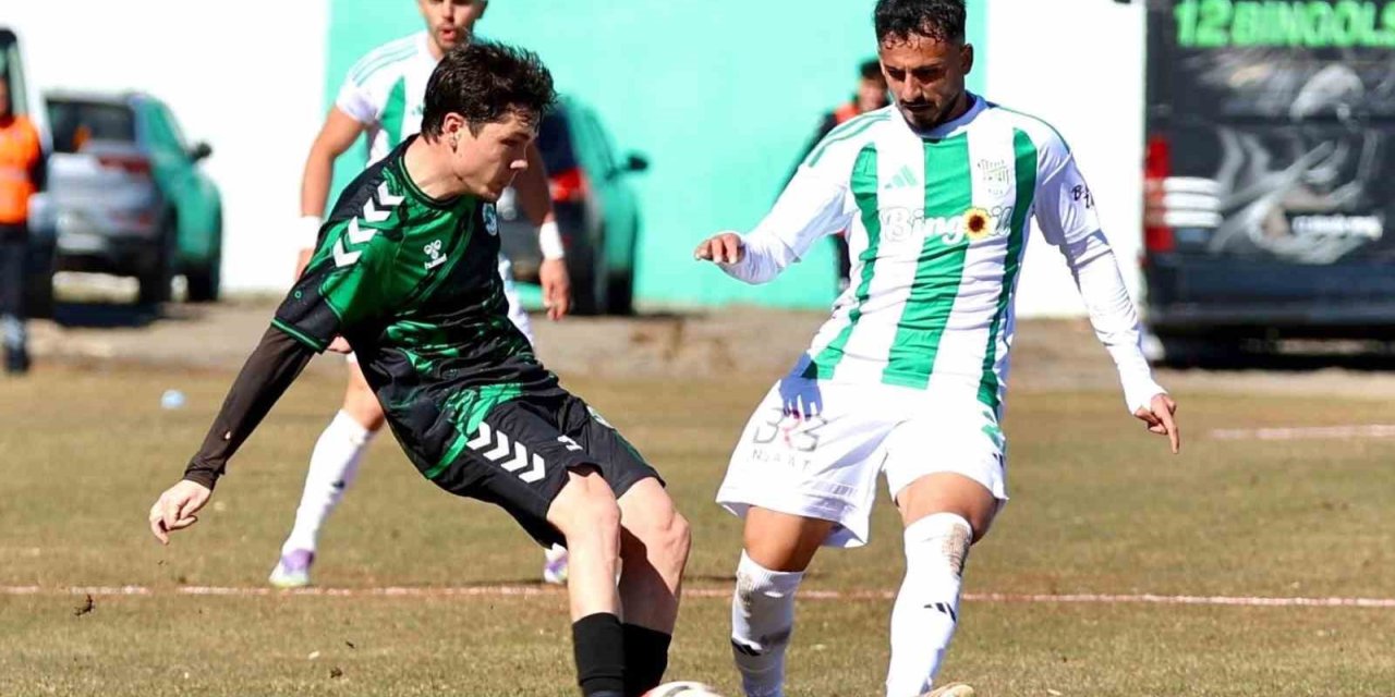TFF 3. Lig: 12 Bingölspor: 0 - Kırşehir FSK: 1