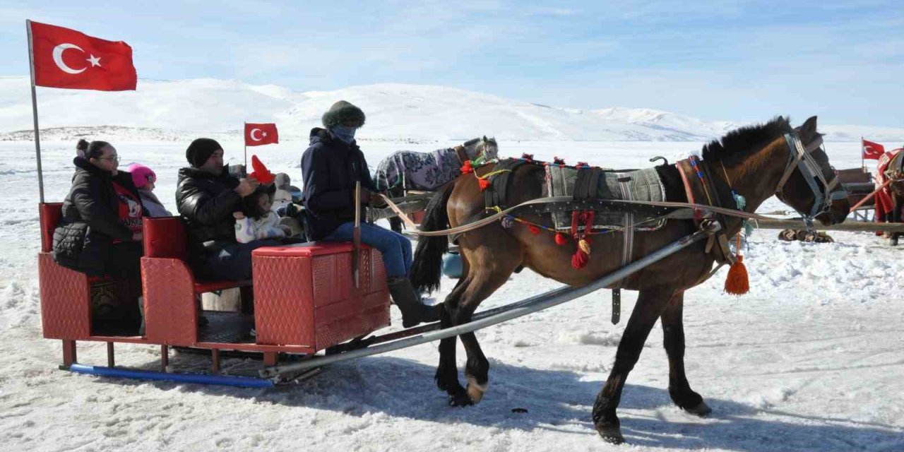 Kars Çıldır Gölü’nde dörtnala atlı kızak safarileri nefes kesiyor