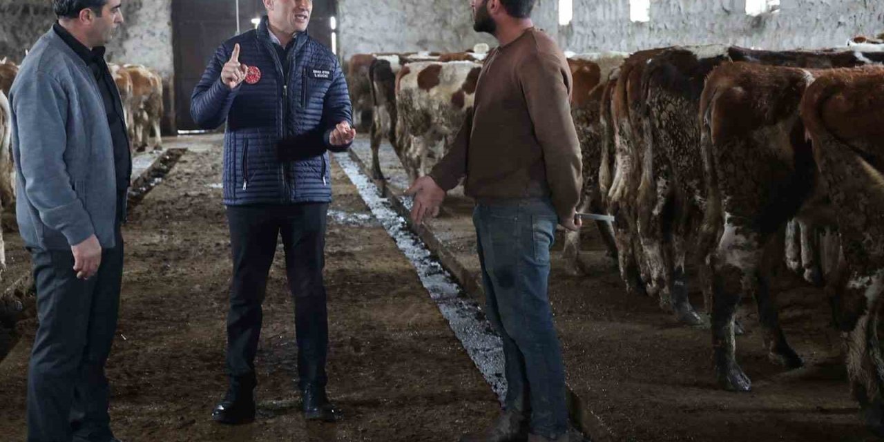 Kars Tarım ve Orman Müdürlüğü sahada: Bayraktar Köyü’nde büyükbaş işletmesine ziyaret