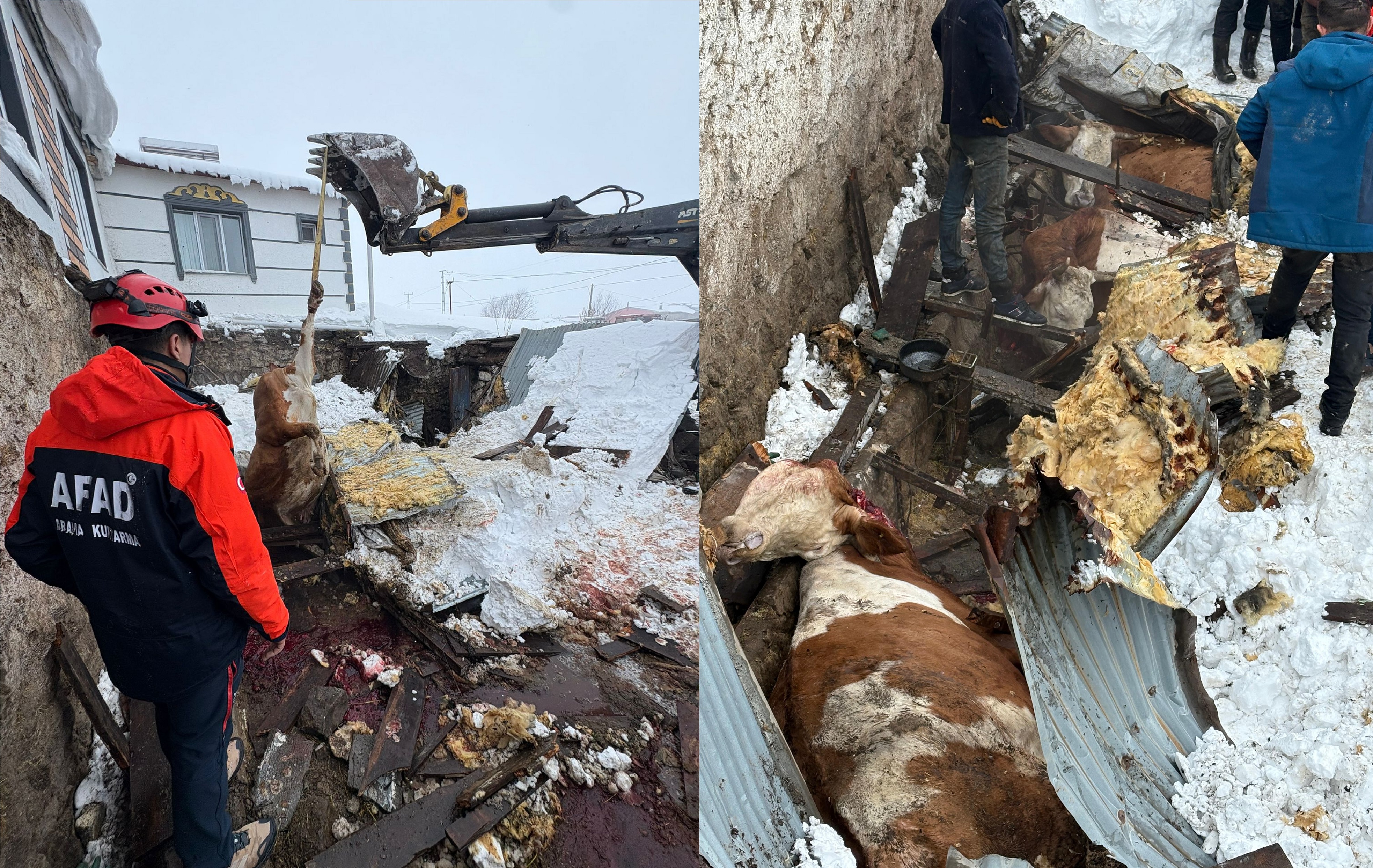 Kar yükü ahırları yıktı: 4 hayvan telef oldu